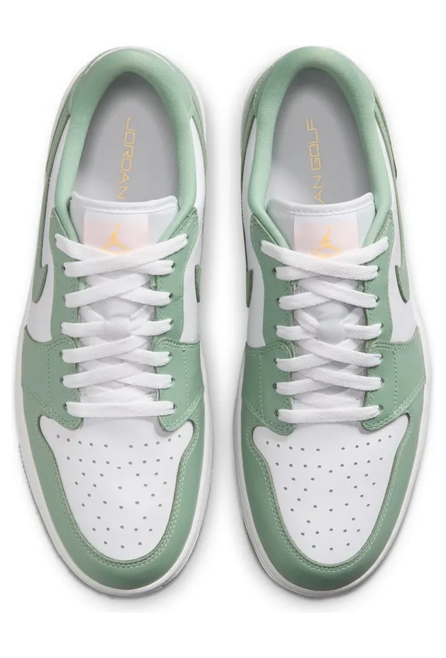 air-jordan-1 DD9315-008