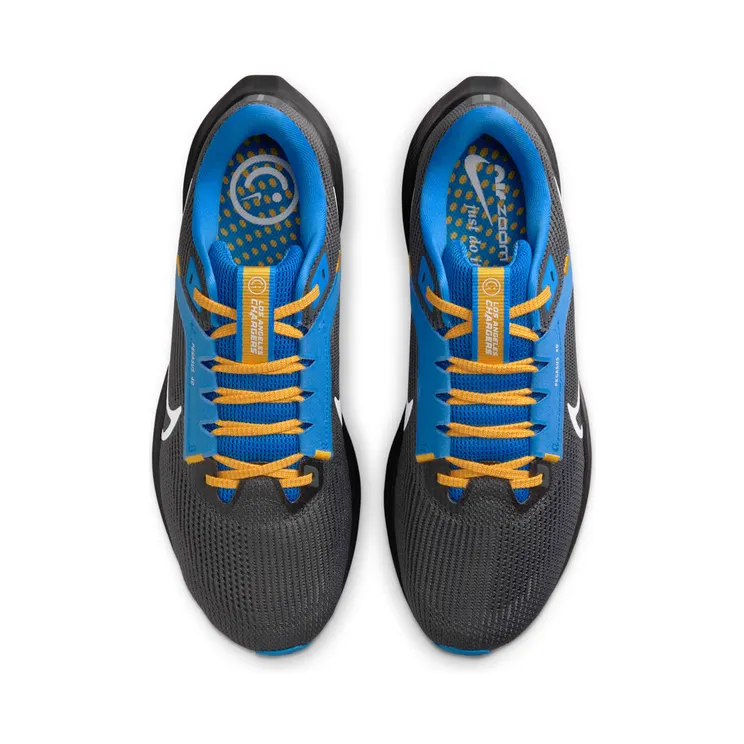 nike-air-pegasus DZ5948-001