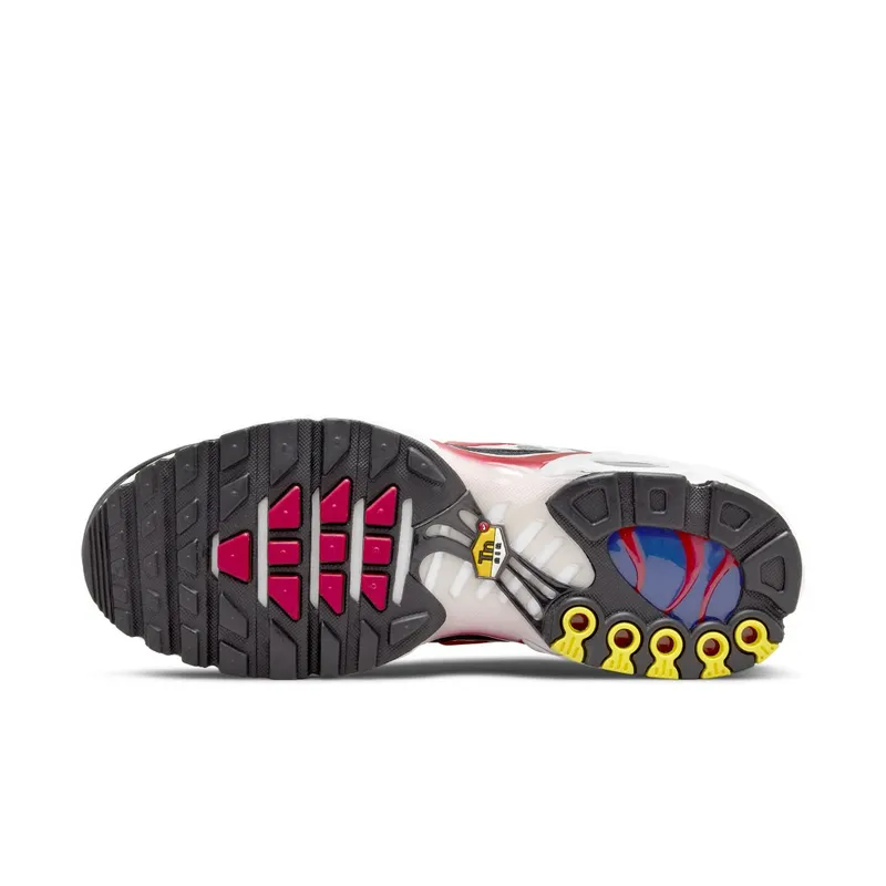 Nike Air Max Plus Grey (DM0032-002)