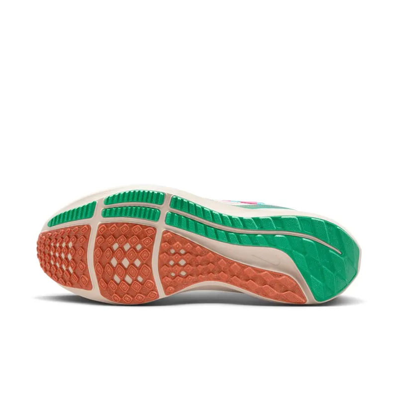 Nike Air Zoom Pegasus 40 Familia (FN0599-100)