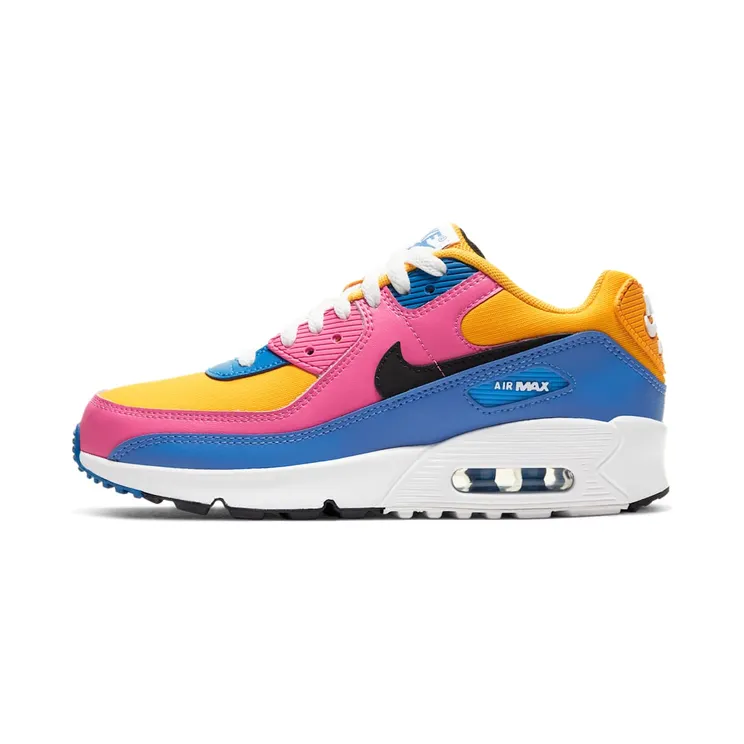 Nike Air Max 90 Leather Multi-Color (GS)