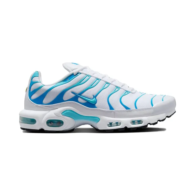 Nike Air Max Plus White Polarised Blue (604133-135)