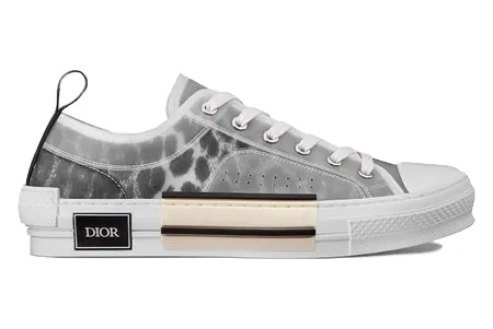 Dior B23 Low Top Grey Leopard