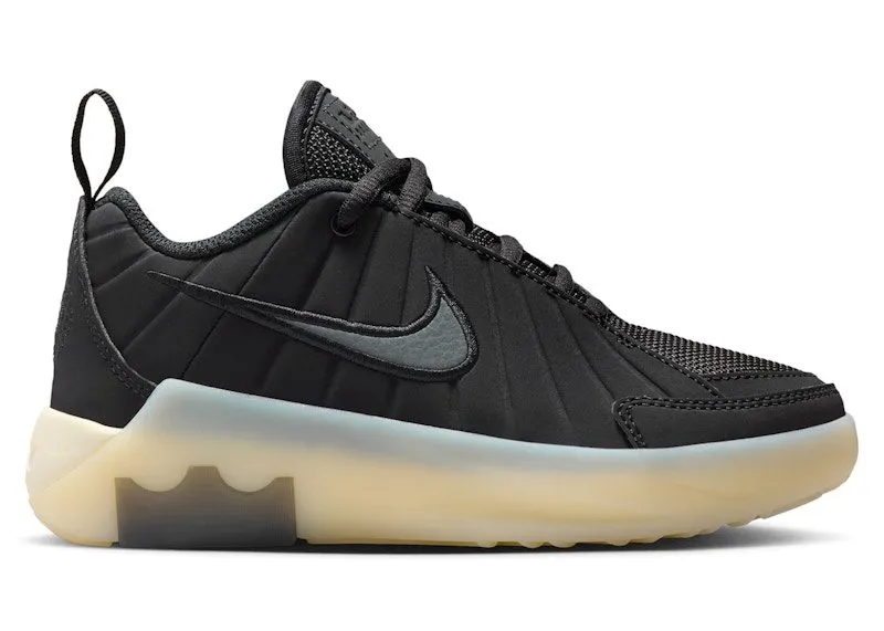 Nike LeBron Witness 9 Black Coconut Milk Iron Grey (HV2271-001)