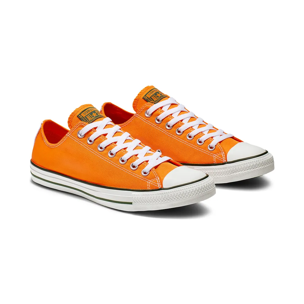 Converse Chuck Taylor All Star Summer Sport Low Top (164413C)