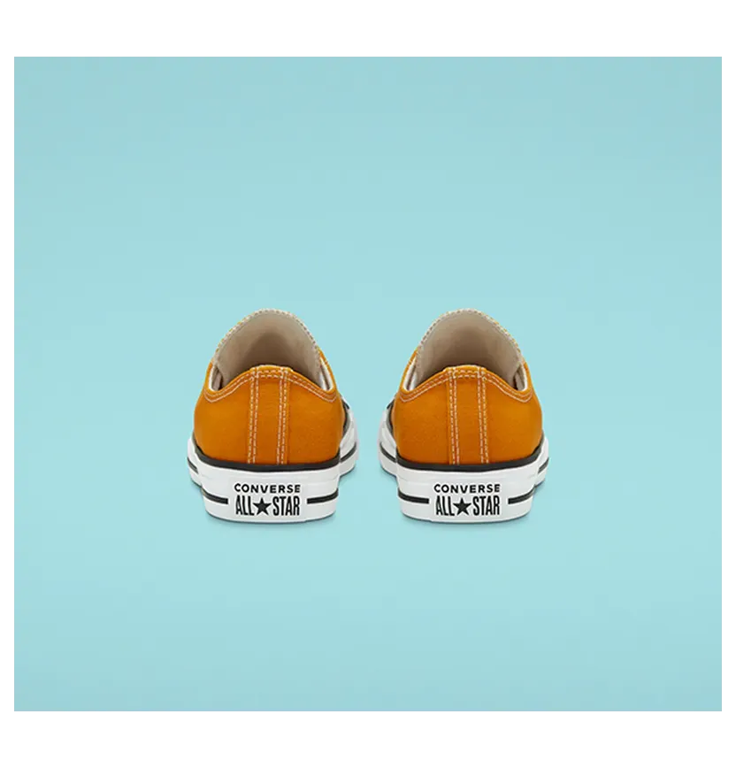 converse-chuck-taylor-all-star 168578C