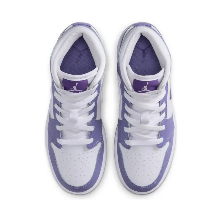 air-jordan-1 DQ8423-500