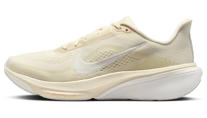 nike-air-pegasus IB1881-106