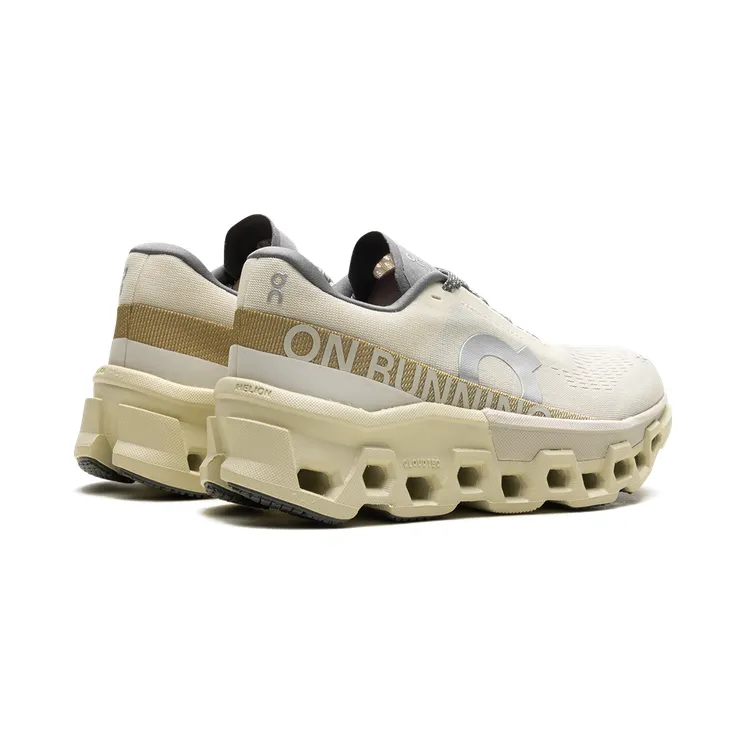on-cloudmonster 3WE10112569