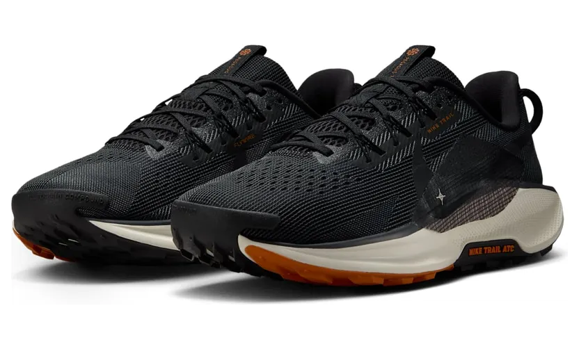 nike-air-pegasus DV3864-006