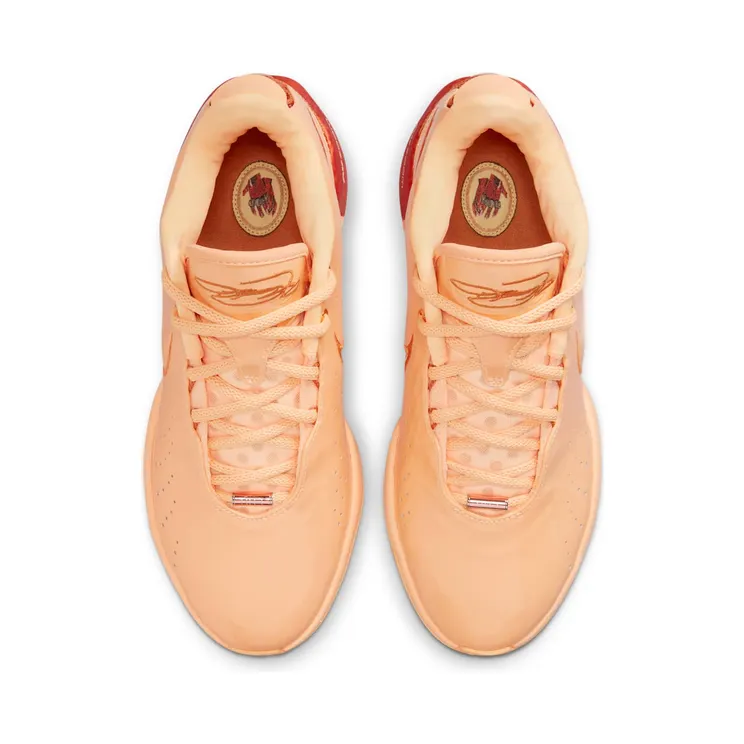 nike-lebron FV2345-800