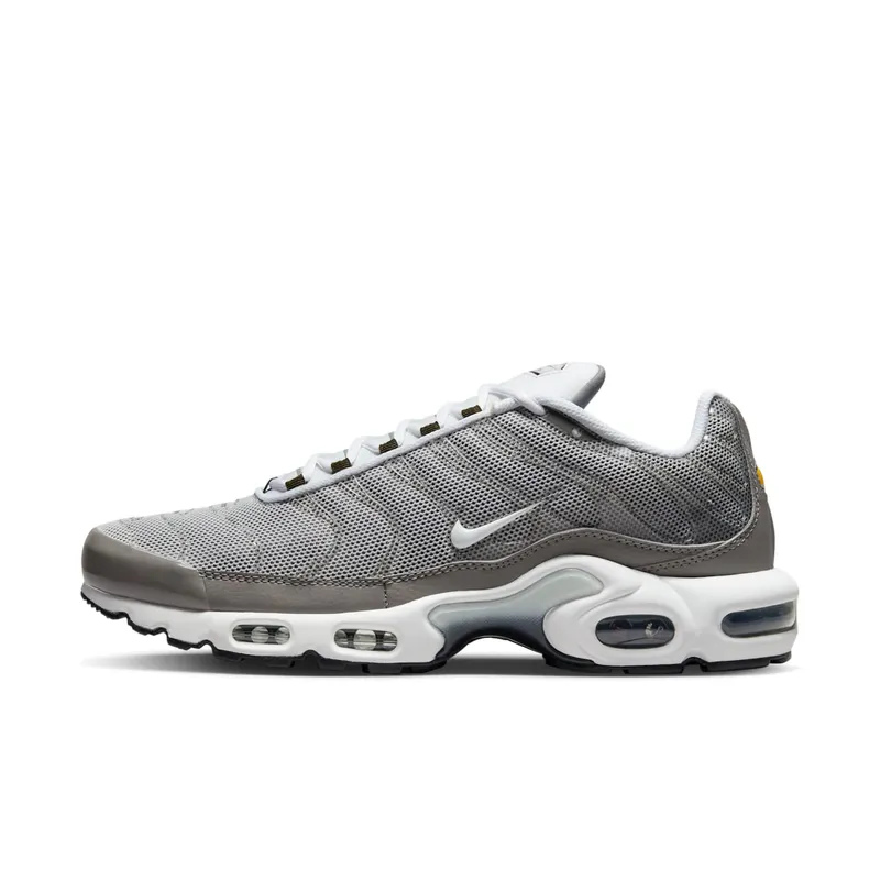 Nike Air Max Plus Flat Pewter (DV7665-002)