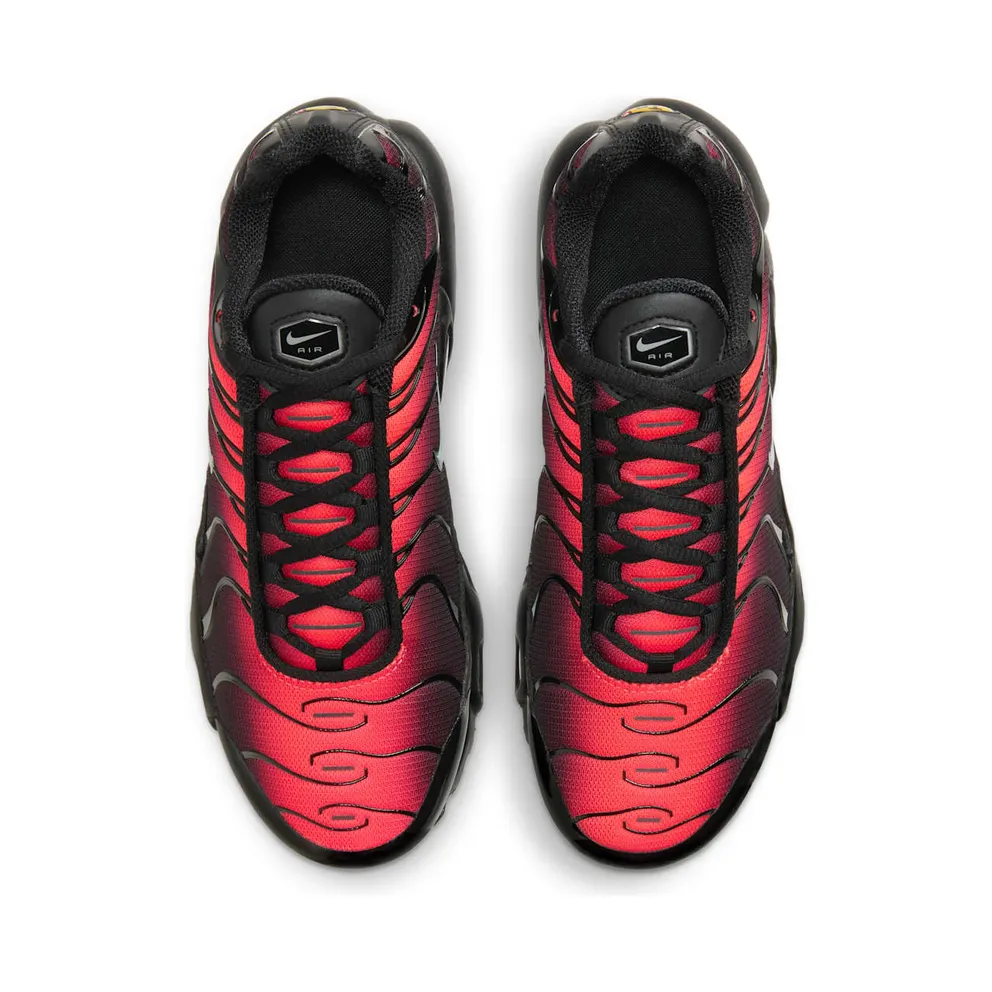 Nike Air Max Plus Black Crimson (DD3229-001)