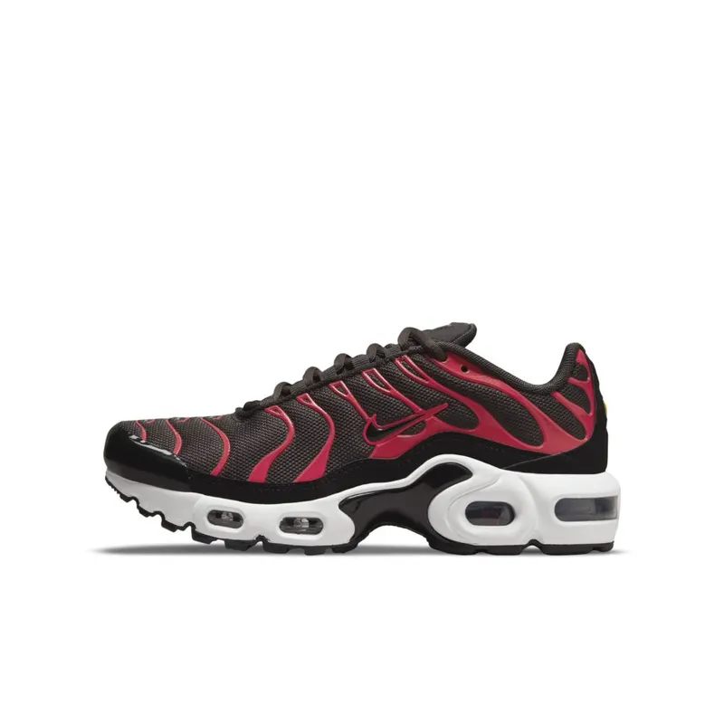 Nike Air Max Plus Bruin (CD0609-200)