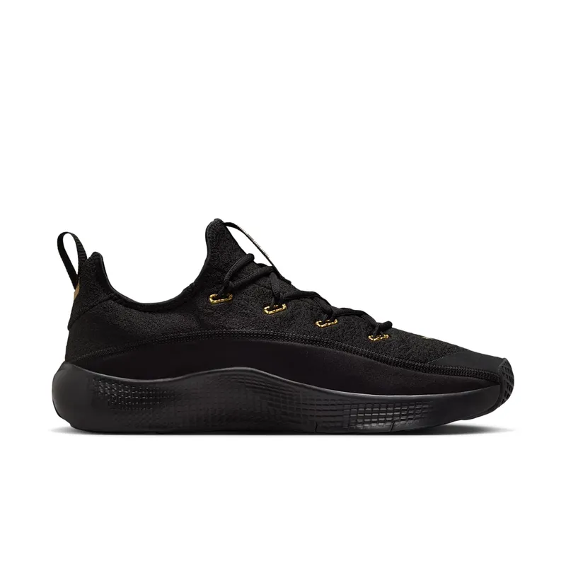 Nike LeBron TR 1 Black Metallic Gold (FJ6151-004)