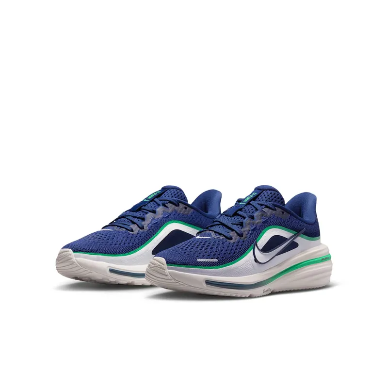 Nike Winflo 12 Blue (IQ9767-400)