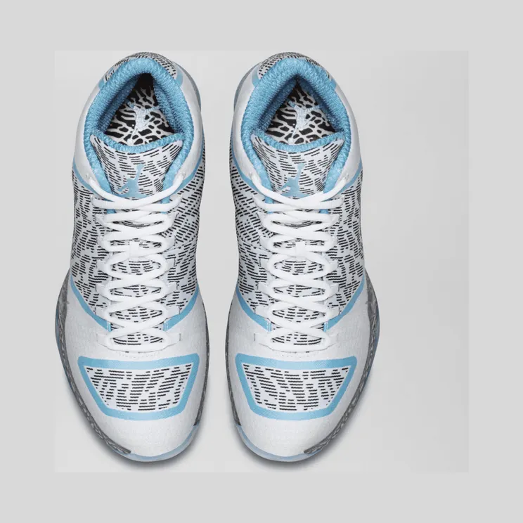 air-jordan-29 717796-108