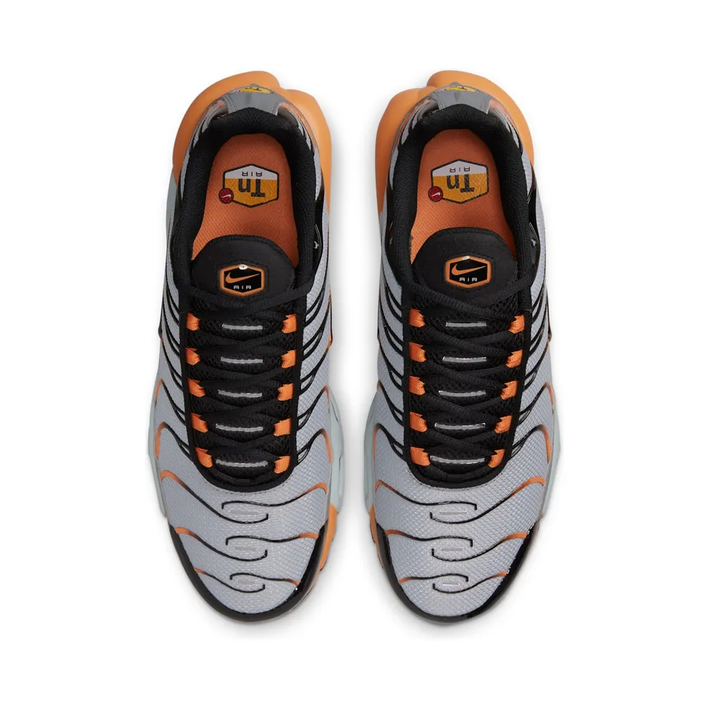 Nike Air Max Plus Grey (DM0032-001)