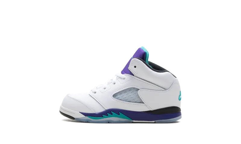 Jordan 5 Retro TD “Grape (2025)” (HQ7981-100)