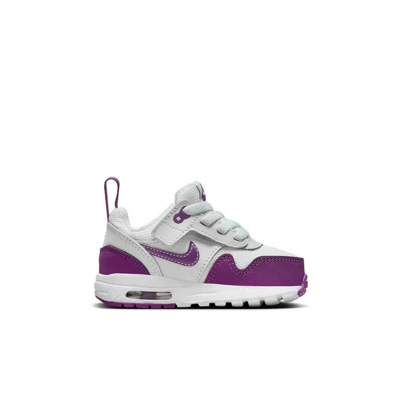 Nike Air Max 1 Summit White/White/Viotech (DZ3309-109)