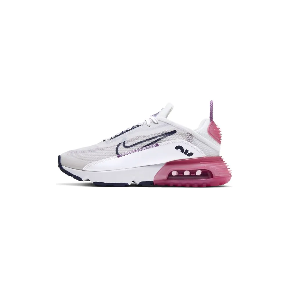 Nike Air Max 2090 Platinum Watermelon Purple (GS) Platinum Tint/Watermelon-Purple Nebula-Blackened Blue (CJ4066-003)