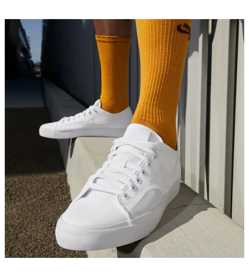 nike-sb-blzr-court CV1658-102