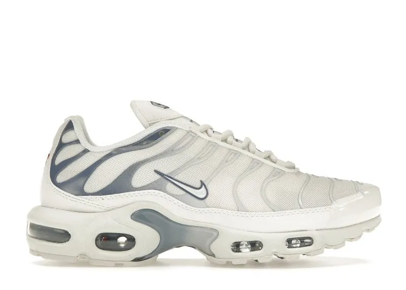 Nike Air Max Plus Ashen Slate (DZ3671-104)