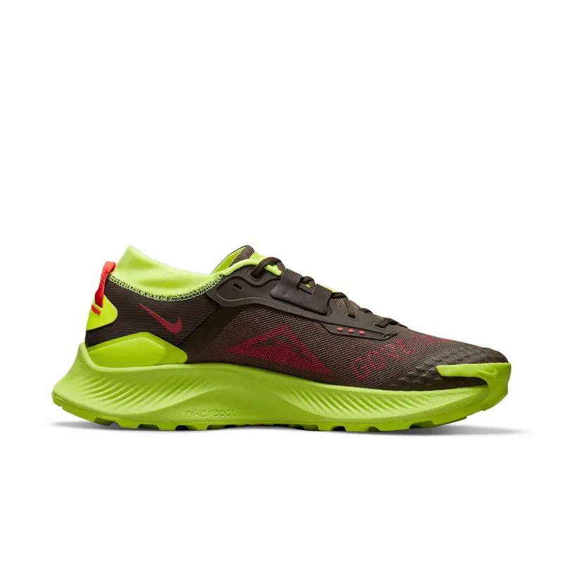 Nike Pegasus Trail 3 GORE-TEX Trail Running Brown (DO6728-200)
