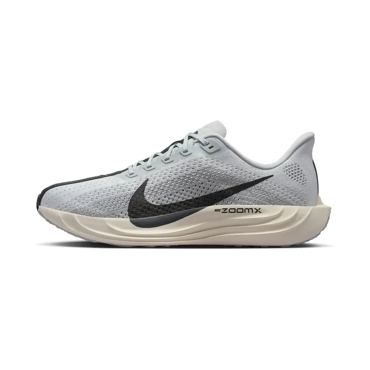 Nike Pegasus “Pure Platinum / Wolf Grey / Sail / Anthracite” (FQ7262-017)