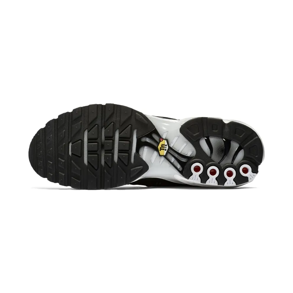 Nike Air Max Plus Striped Black White Black/White-Pure Platinum (AT0040-001)