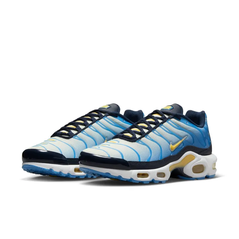 Nike Air Max Plus University Blue Topaz Gold (FD9871-400)