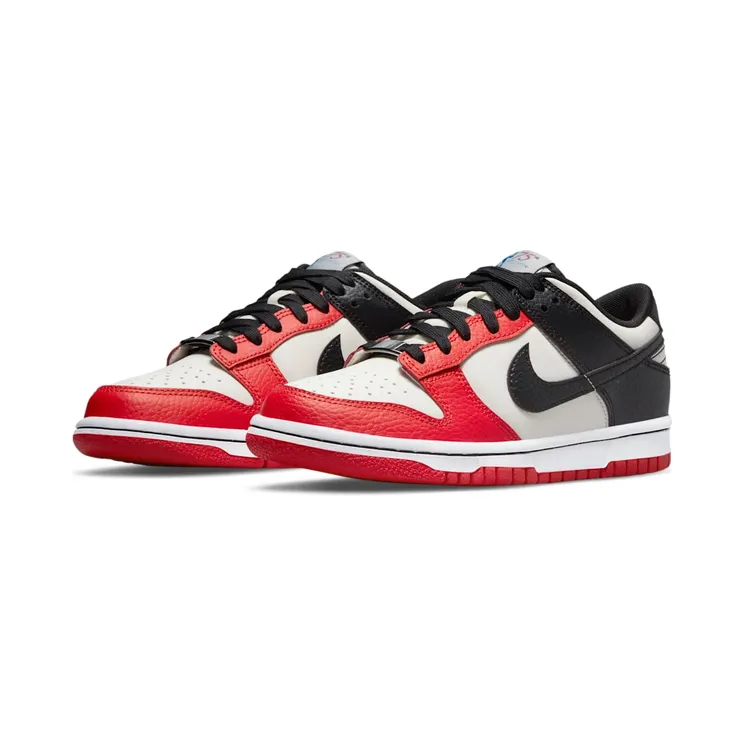 nike-dunk DO6288-100