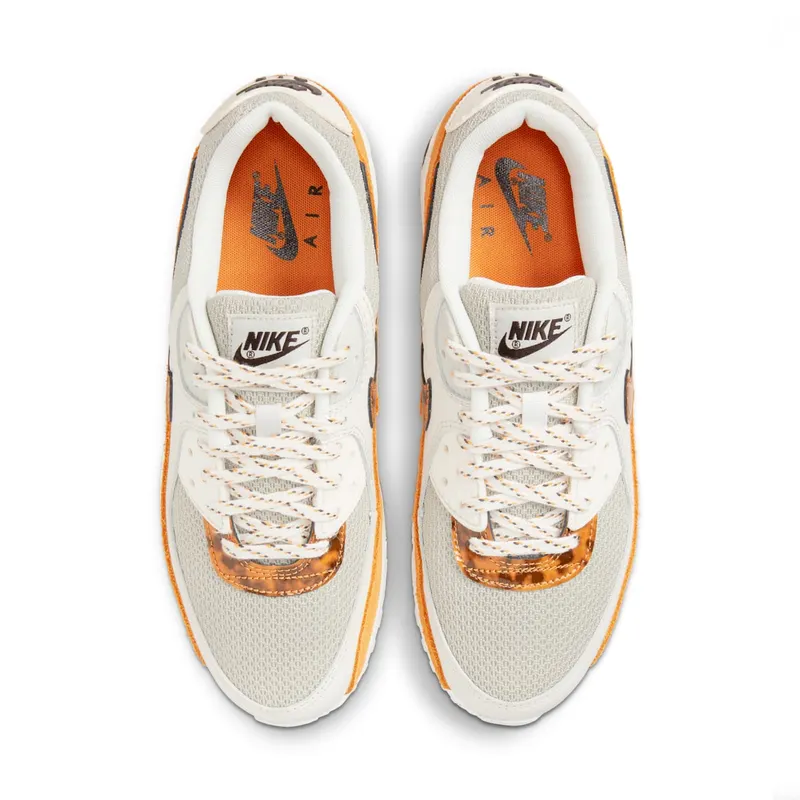 Nike Air Max 90 Grey (DQ9316-001)
