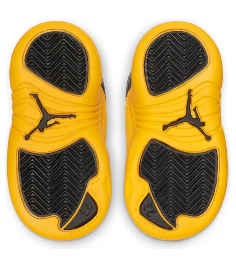 air-jordan-12 850000-070
