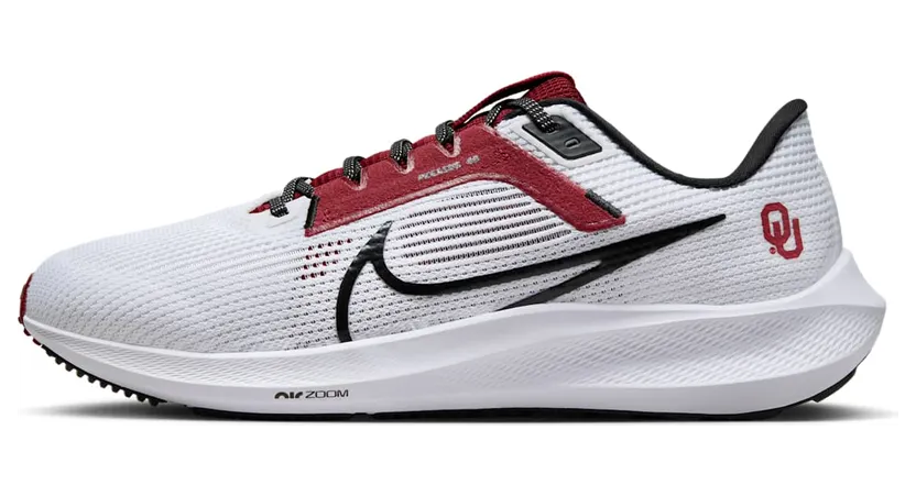 nike-air-pegasus DZ5984-100