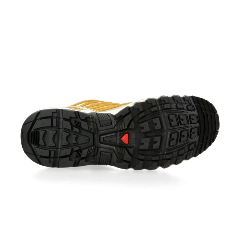Salomon ACS PRO Gore-Tex (icicle / antelope / tea) – L47599800