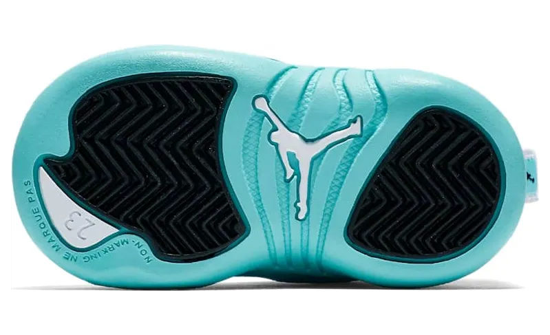 air-jordan-12 819666-100