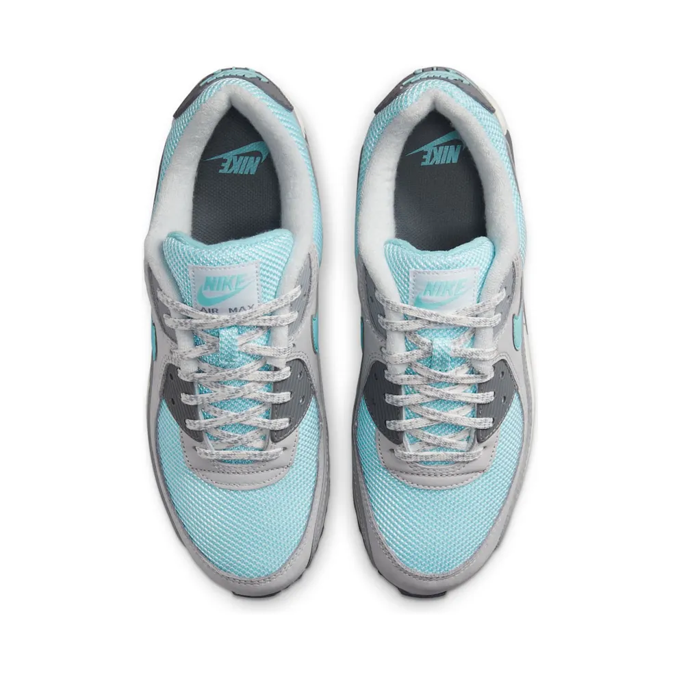 Nike Air Max 90 Grey (DQ0789-001)