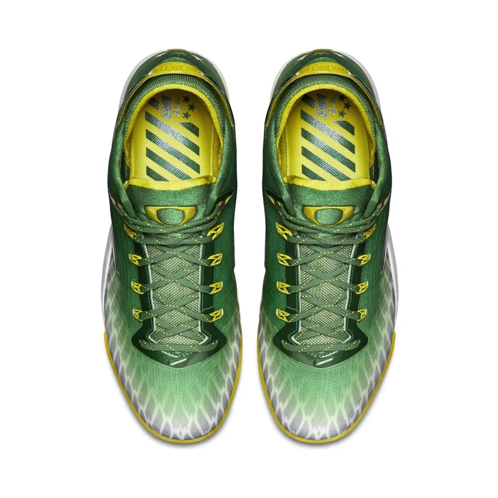 Nike Zoom Field General Oregon Ducks Apple Grey/White-Yellow Strike (654859-371)