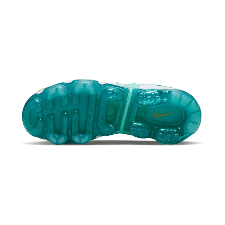 nike-air-vapormax CI9900-300