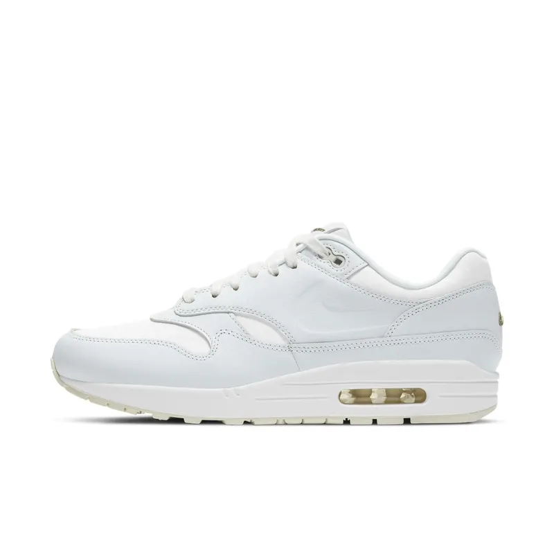 Nike Air Max 1 Asparagus (2020) (DH5493-100)