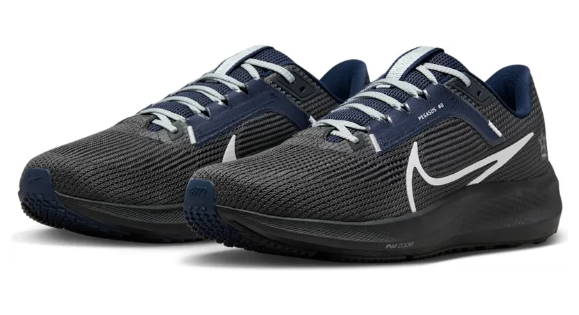 nike-air-pegasus DZ5975-001