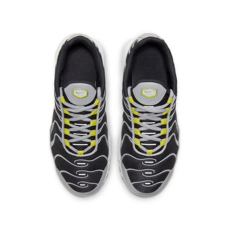 Nike Air Max Plus Dark Smoke Grey (GS) (CD0609-013)
