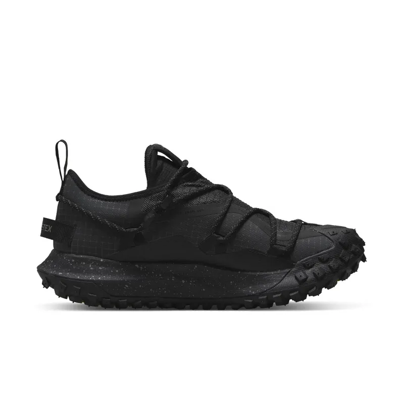 Nike ACG Mountain Fly Low GORE-TEX SE Grey (DD2861-002)
