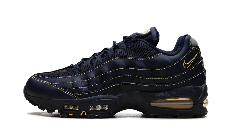 Nike Air Max 95 “Michigan” (IB7936-400)