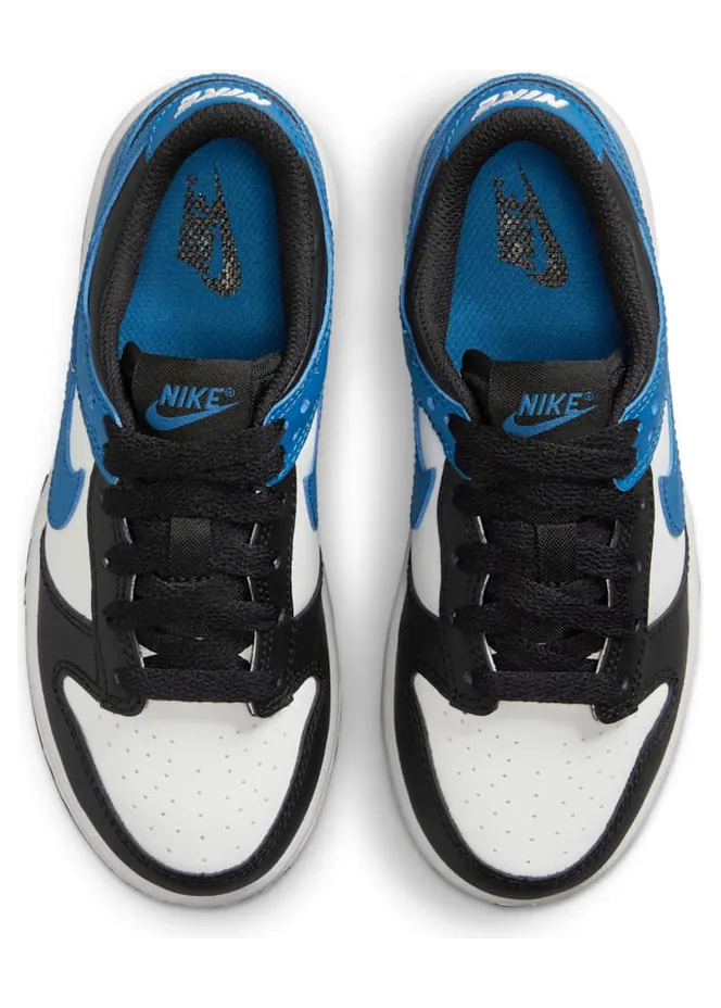 nike-dunk DH9756-104