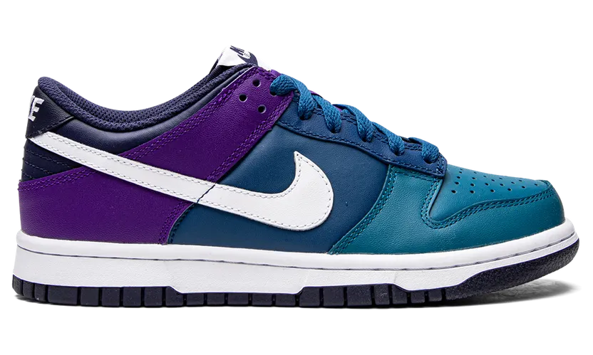 nike-dunk DH9765-300