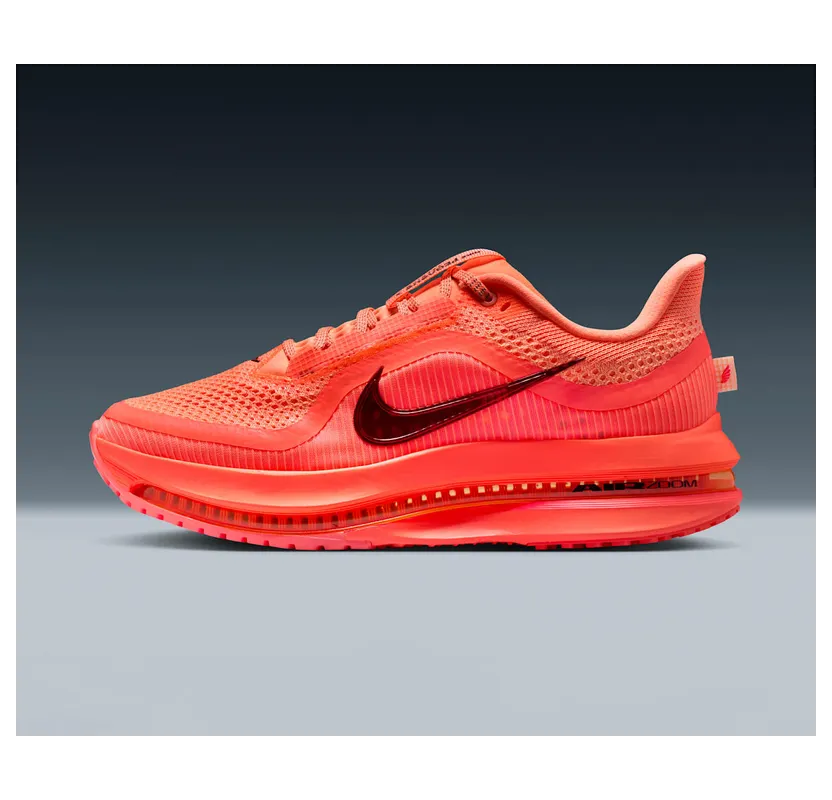 nike-air-pegasus HQ2593-802