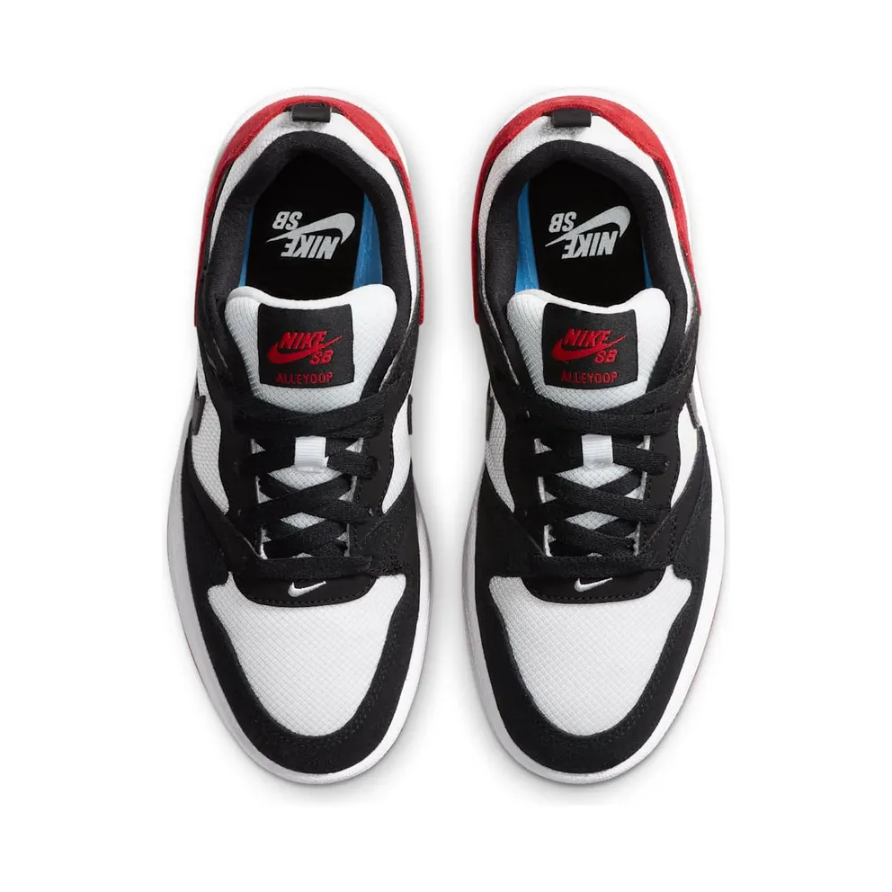 Nike SB Alleyoop (GS) (CJ0883-102)