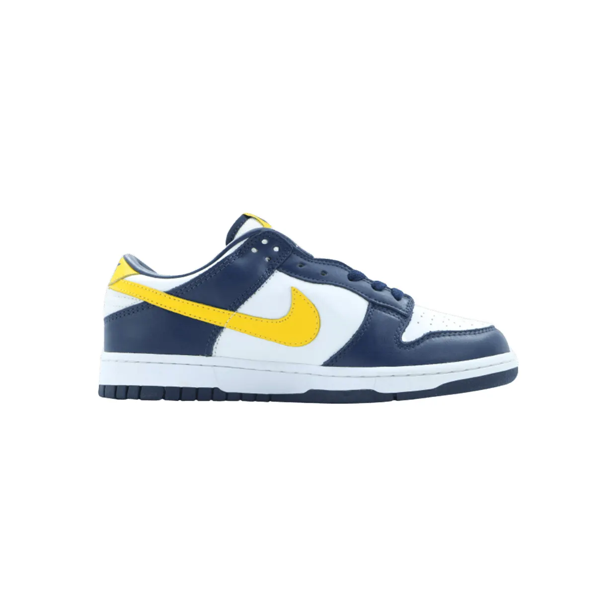 nike-dunk 304714-172